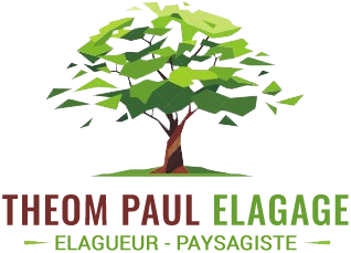 Theom Paul elagage 95